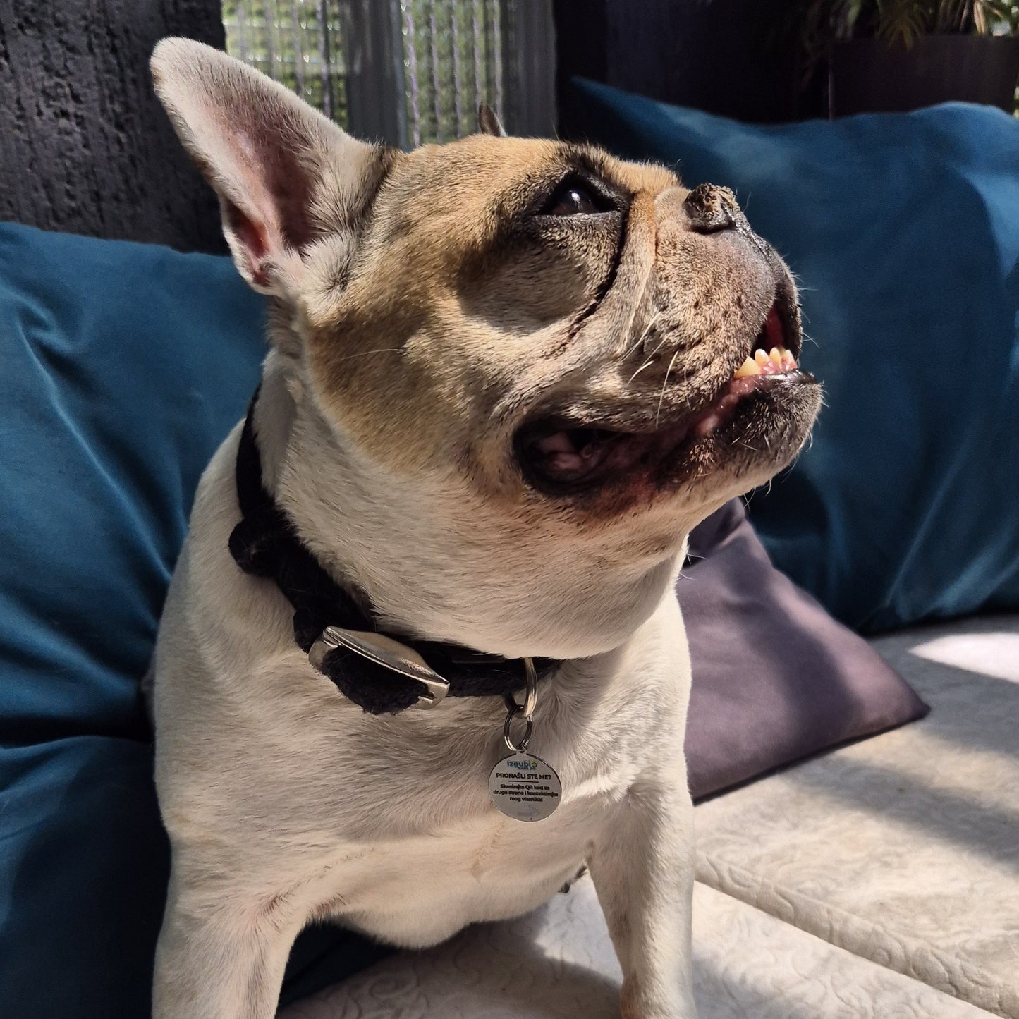 Digitalni Privezak sa Elektronskim Podacima Vlasnika Ljubimca