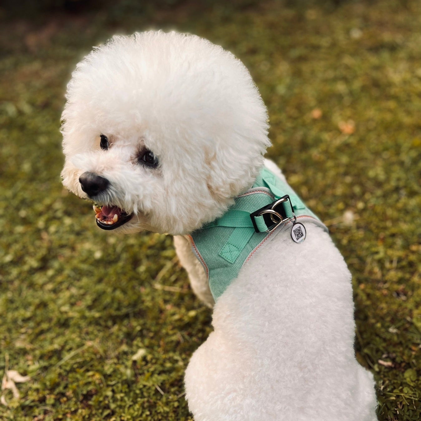 Digitalni Privezak sa Elektronskim Podacima Vlasnika Ljubimca